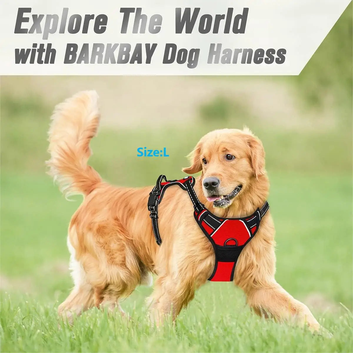 ComfortFit No-Pull Dog Harness