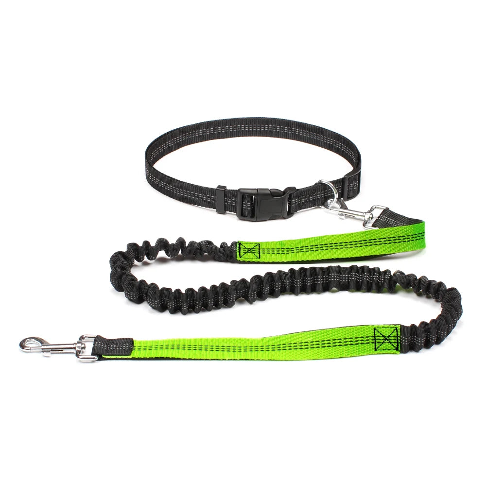 Hands-Free Active Dog Leash