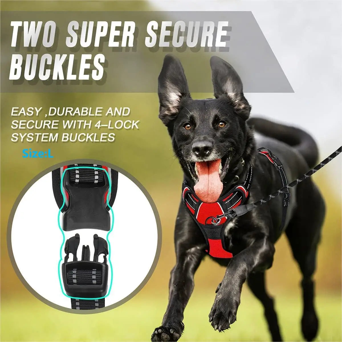 ComfortFit No-Pull Dog Harness
