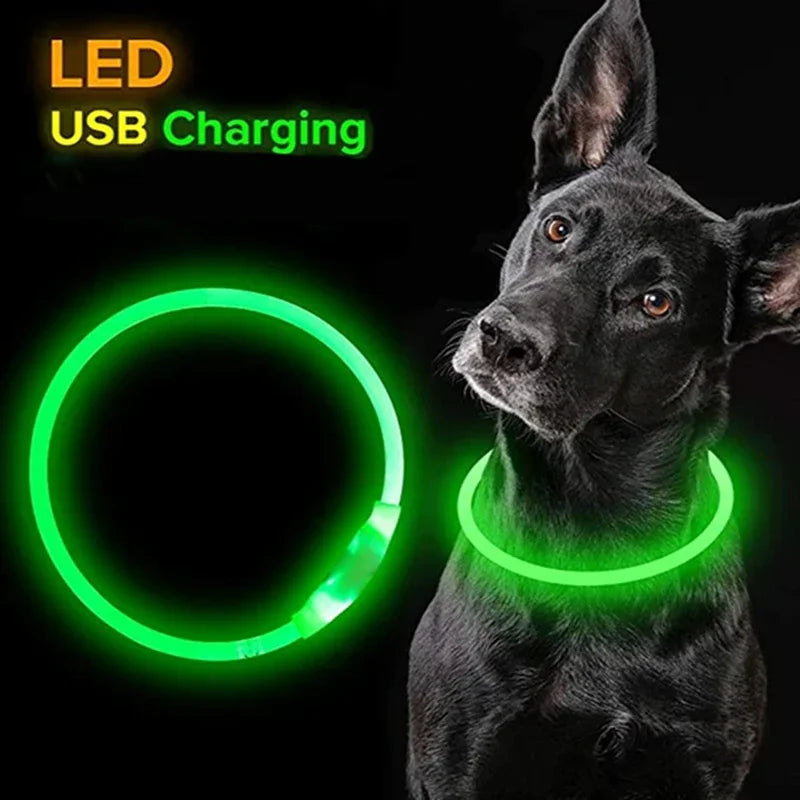 GlowSafe LED Dog Collar