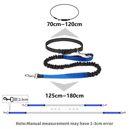 Hands-Free Active Dog Leash