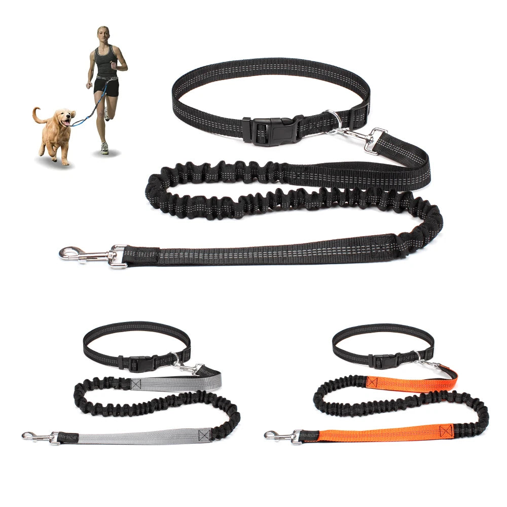 Hands-Free Active Dog Leash