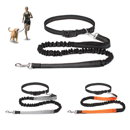 Hands-Free Active Dog Leash
