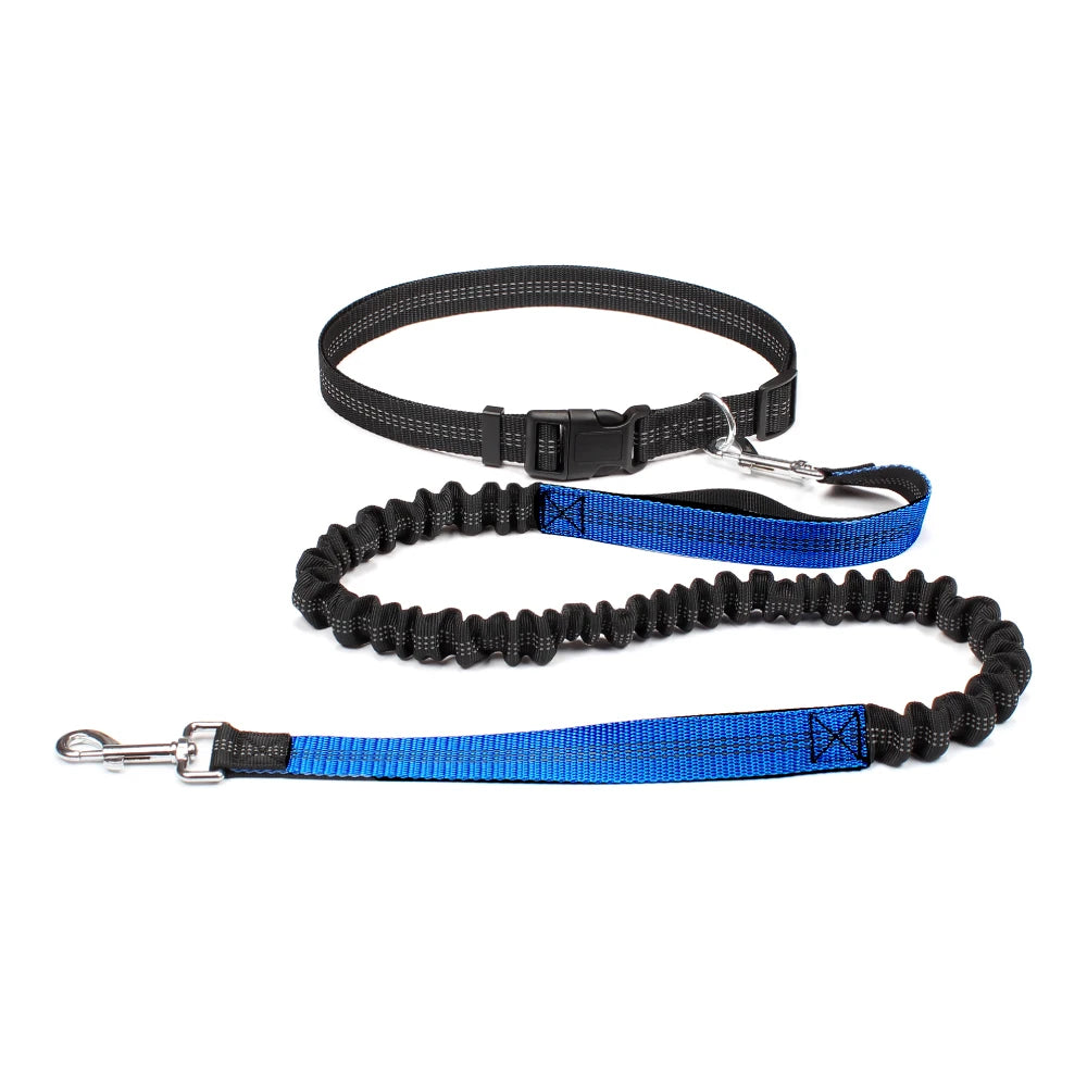 Hands-Free Active Dog Leash