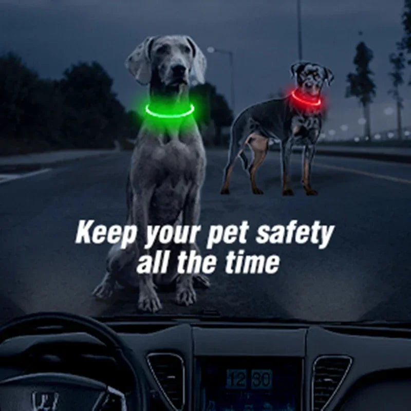 GlowSafe LED Dog Collar