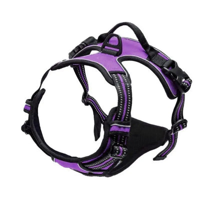 ComfortFit No-Pull Dog Harness