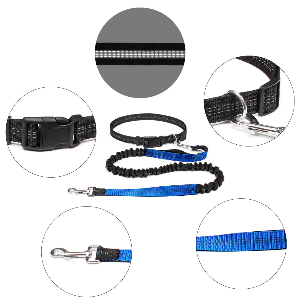 Hands-Free Active Dog Leash