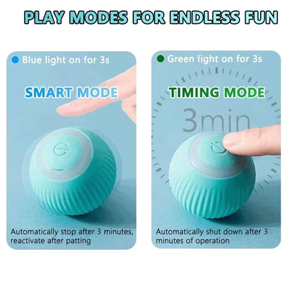 SmartRoll Interactive Cat Ball
