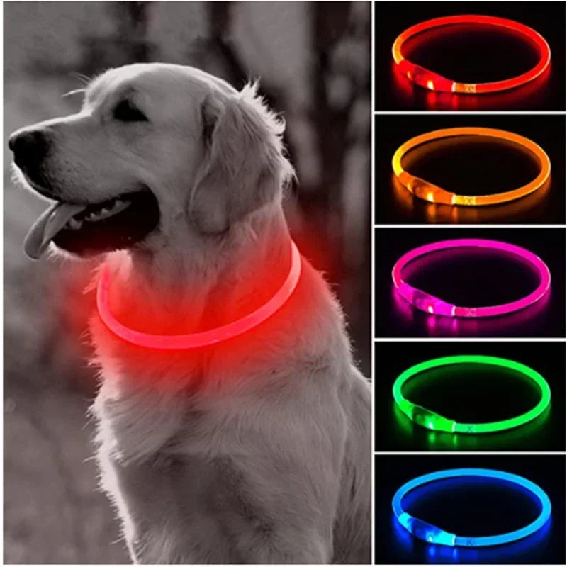 GlowSafe LED Dog Collar