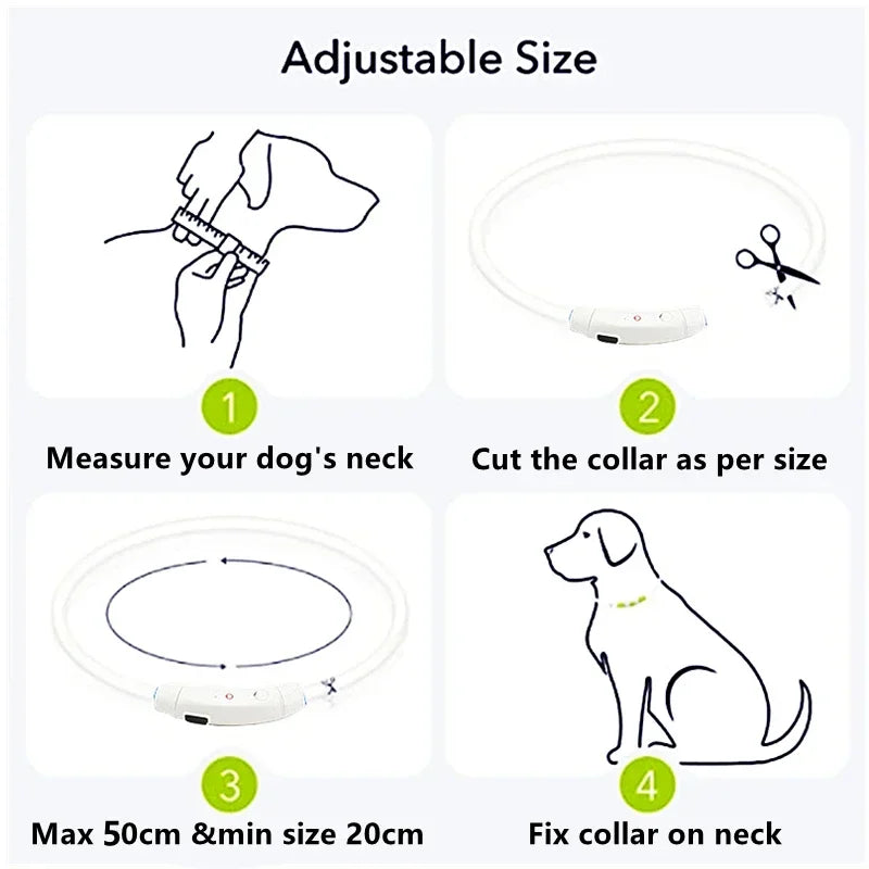 GlowSafe LED Dog Collar