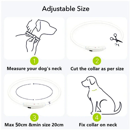 GlowSafe LED Dog Collar