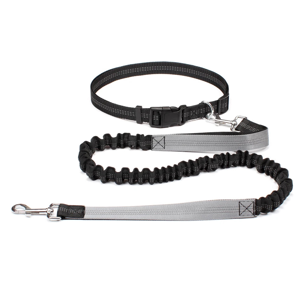 Hands-Free Active Dog Leash