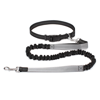Hands-Free Active Dog Leash