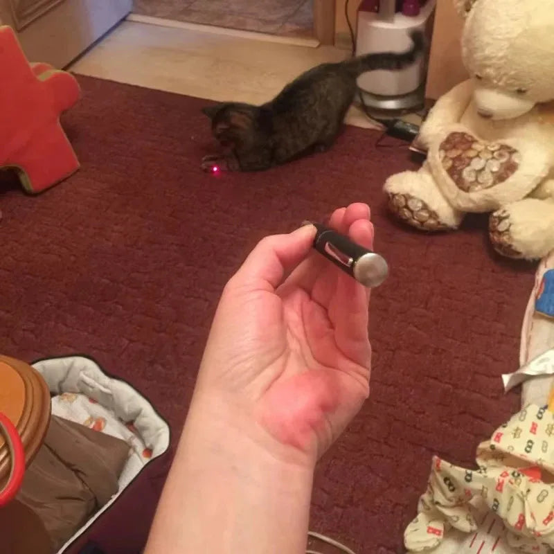 LaserFun Interactive Cat Toy