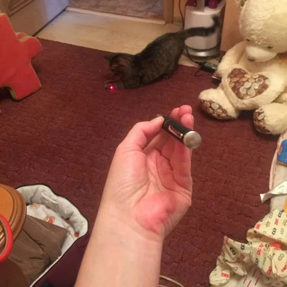 LaserFun Interactive Cat Toy