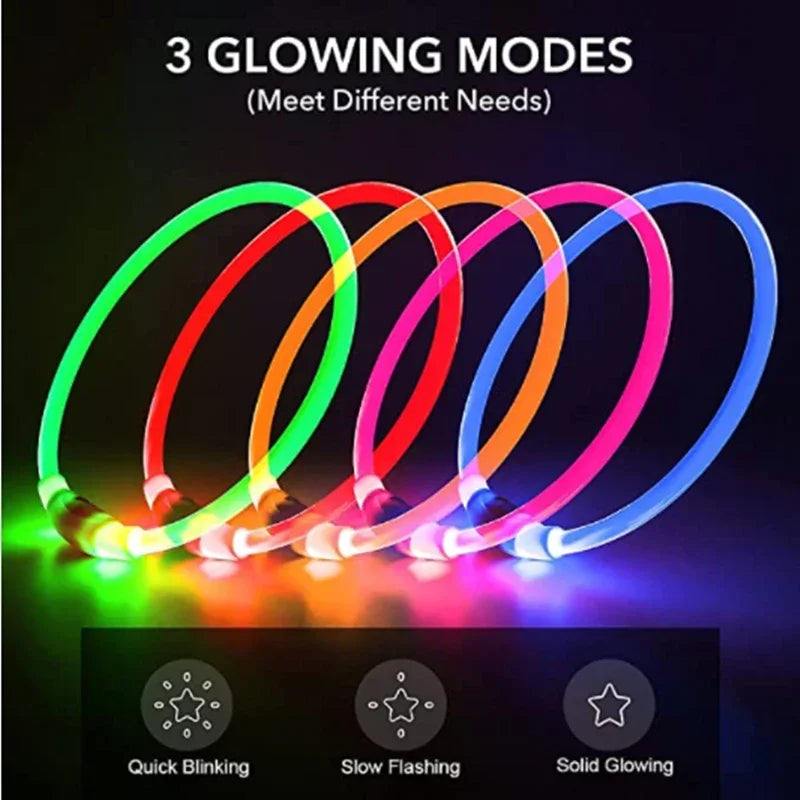 GlowSafe LED Dog Collar