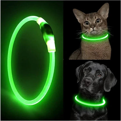 GlowSafe LED Dog Collar