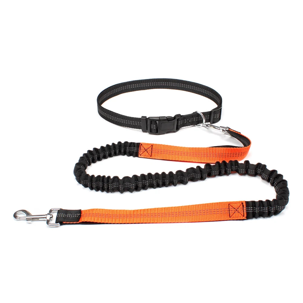 Hands-Free Active Dog Leash