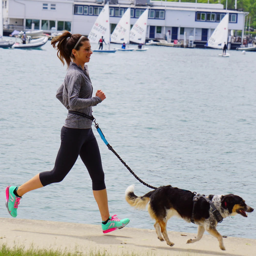 Hands-Free Active Dog Leash