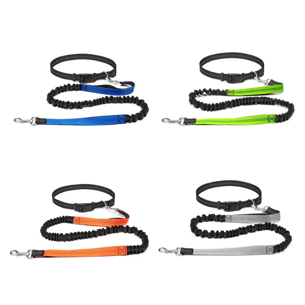 Hands-Free Active Dog Leash