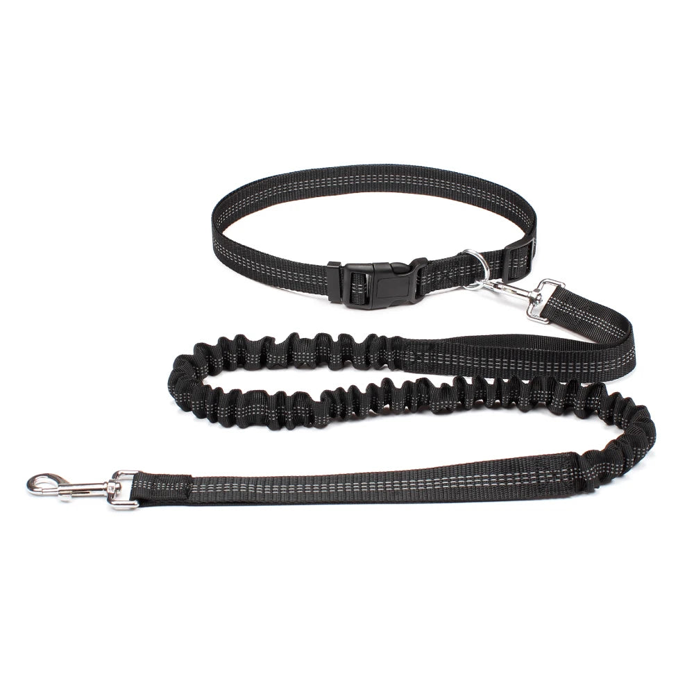 Hands-Free Active Dog Leash