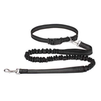 Hands-Free Active Dog Leash