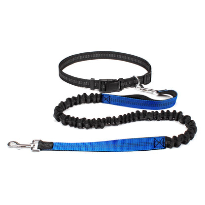 Hands-Free Active Dog Leash